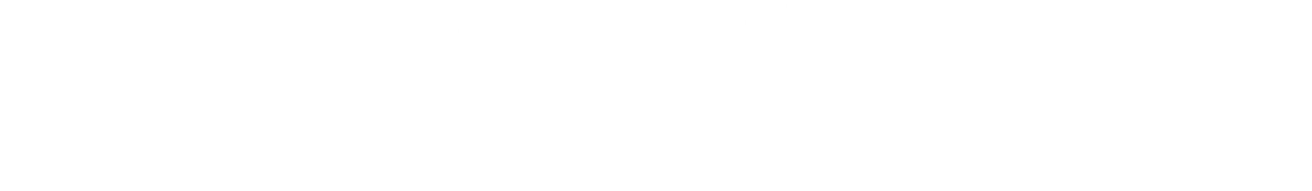 Victorian Local Governance Association